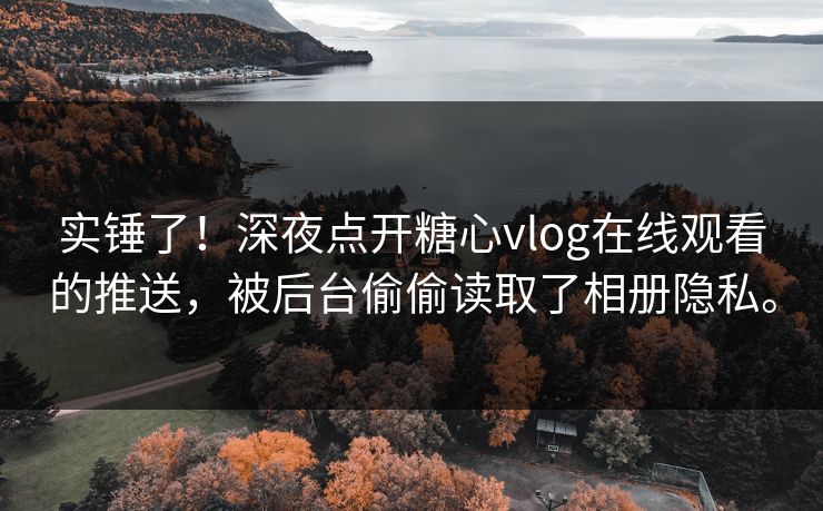 实锤了！深夜点开糖心vlog在线观看的推送，被后台偷偷读取了相册隐私。