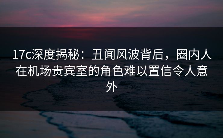 17c深度揭秘：丑闻风波背后，圈内人在机场贵宾室的角色难以置信令人意外